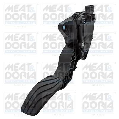 Accelerator Pedal Unit